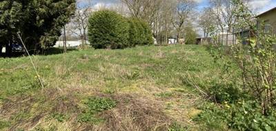 Terrain et maison à Ficheux en Pas-de-Calais (62) de 90 m² à vendre au prix de 224803€ - 4