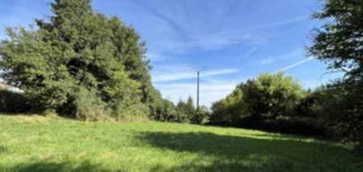 Terrain à Saultain en Nord (59) de 650 m² à vendre au prix de 73000€ - 1