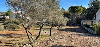 Terrain et maison à Cournonterral en Hérault (34) de 125 m² à vendre au prix de 427000€ - 4