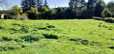 Terrain à Sansac-de-Marmiesse en Cantal (15) de 1000 m² à vendre au prix de 45000€ - 4