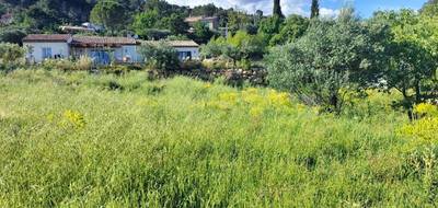 Terrain et maison à Lorgues en Var (83) de 93 m² à vendre au prix de 258072€ - 4