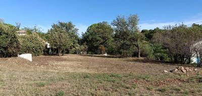 Terrain et maison à Vidauban en Var (83) de 100 m² à vendre au prix de 449000€ - 4