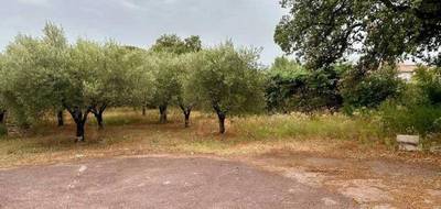 Terrain à Puget-sur-Argens en Var (83) de 460 m² à vendre au prix de 189000€ - 2