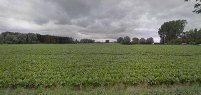 Terrain et maison à Steenwerck en Nord (59) de 150 m² à vendre au prix de 389000€ - 4