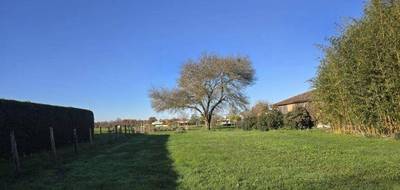 Terrain et maison à Lafrançaise en Tarn-et-Garonne (82) de 113 m² à vendre au prix de 219567€ - 4