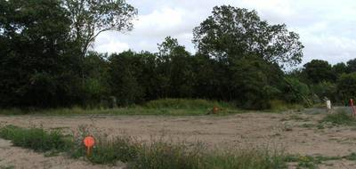 Terrain et maison à Feneu en Maine-et-Loire (49) de 130 m² à vendre au prix de 385000€ - 3