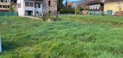 Terrain à Munster en Haut-Rhin (68) de 518 m² à vendre au prix de 99500€ - 2