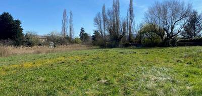 Terrain à Cruas en Ardèche (07) de 668 m² à vendre au prix de 105000€ - 4