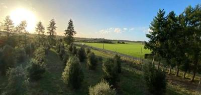 Terrain et maison à Veigné en Indre-et-Loire (37) de 80 m² à vendre au prix de 313000€ - 4