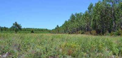 Terrain à Mios en Gironde (33) de 850 m² à vendre au prix de 206000€ - 1