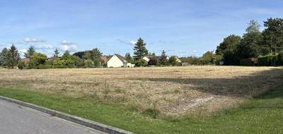 Terrain et maison à Béhoust en Yvelines (78) de 85 m² à vendre au prix de 318200€ - 4