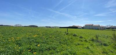 Terrain à Saint-Just-Malmont en Haute-Loire (43) de 893 m² à vendre au prix de 75000€ - 1