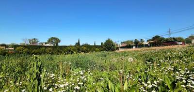 Terrain à Le Puy-Sainte-Réparade en Bouches-du-Rhône (13) de 449 m² à vendre au prix de 235000€ - 1