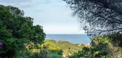 Terrain à Sainte-Maxime en Var (83) de 1800 m² à vendre au prix de 1500000€ - 2