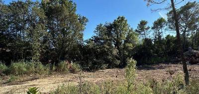 Terrain et maison à Bagnols-en-Forêt en Var (83) de 98 m² à vendre au prix de 393500€ - 4