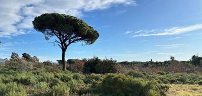 Terrain à Puget-sur-Argens en Var (83) de 656 m² à vendre au prix de 250000€ - 1