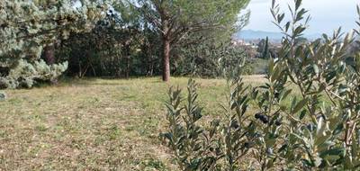 Terrain et maison à Roquebrune-sur-Argens en Var (83) de 105 m² à vendre au prix de 467000€ - 4