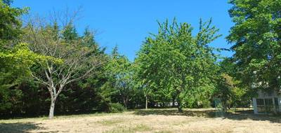 Terrain à Soyaux en Charente (16) de 424 m² à vendre au prix de 56500€ - 2