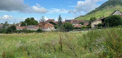 Terrain et maison à Briord en Ain (01) de 80 m² à vendre au prix de 231000€ - 3