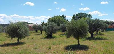 Terrain à Aups en Var (83) de 3000 m² à vendre au prix de 170000€ - 4