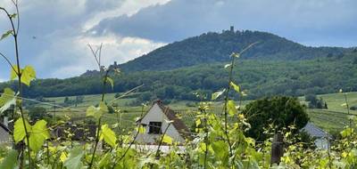 Terrain à Bergheim en Haut-Rhin (68) de 1100 m² à vendre au prix de 293000€ - 1