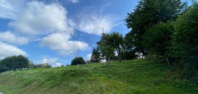 Terrain à Domfront en Poiraie en Orne (61) de 1866 m² à vendre au prix de 19800€ - 1