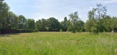 Terrain et maison à Vallières-les-Grandes en Loir-et-Cher (41) de 72 m² à vendre au prix de 195566€ - 3