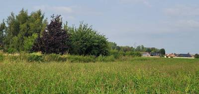 Terrain et maison à Audruicq en Pas-de-Calais (62) de 110 m² à vendre au prix de 260000€ - 4