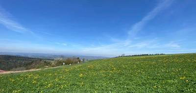 Terrain à Saint-Just-Malmont en Haute-Loire (43) de 1149 m² à vendre au prix de 74000€ - 3