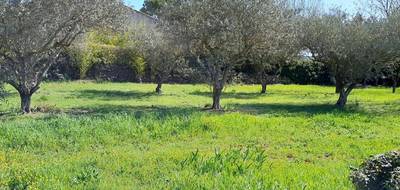 Terrain et maison à Brignoles en Var (83) de 120 m² à vendre au prix de 550000€ - 4