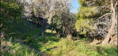 Terrain à Narbonne en Aude (11) de 345 m² à vendre au prix de 135900€ - 1