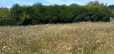 Terrain et maison à Manthelan en Indre-et-Loire (37) de 137 m² à vendre au prix de 294900€ - 3