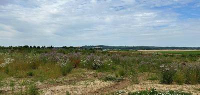 Terrain et maison à Bailleul-Sir-Berthoult en Pas-de-Calais (62) de 99 m² à vendre au prix de 251324€ - 4