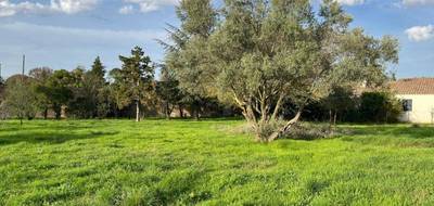 Terrain à Bollène en Vaucluse (84) de 497 m² à vendre au prix de 112500€ - 4