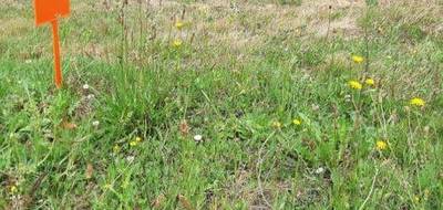 Terrain et maison à Challans en Vendée (85) de 60 m² à vendre au prix de 195728€ - 4