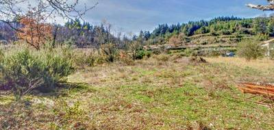 Terrain à Saint-Vincent-d'Olargues en Hérault (34) de 3000 m² à vendre au prix de 89000€ - 3