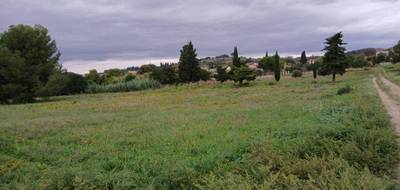 Terrain et maison à Saint-Pargoire en Hérault (34) de 90 m² à vendre au prix de 281200€ - 4