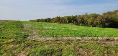 Terrain et maison à Saint-Euphraise-et-Clairizet en Marne (51) de 125 m² à vendre au prix de 315000€ - 3