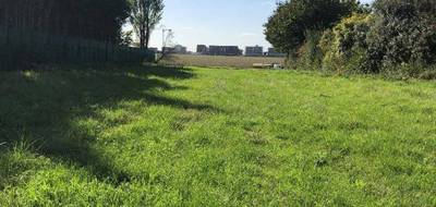 Terrain et maison à Dammartin-en-Goële en Seine-et-Marne (77) de 102 m² à vendre au prix de 279000€ - 4