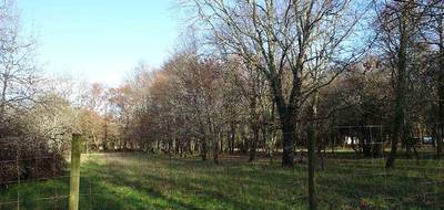 Terrain à Cartelègue en Gironde (33) de 1950 m² à vendre au prix de 58500€ - 3