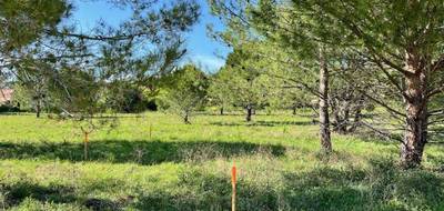 Terrain à Caromb en Vaucluse (84) de 462 m² à vendre au prix de 130000€ - 4