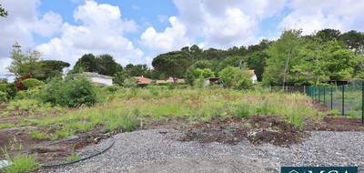 Terrain à Léon en Landes (40) de 885 m² à vendre au prix de 239000€ - 1