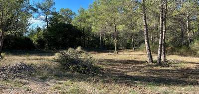 Terrain à Méounes-lès-Montrieux en Var (83) de 1200 m² à vendre au prix de 165000€ - 2