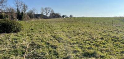 Terrain à Douchy-lès-Ayette en Pas-de-Calais (62) de 4000 m² à vendre au prix de 120000€ - 3