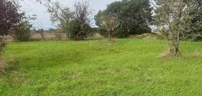 Terrain et maison à Druye en Indre-et-Loire (37) de 50 m² à vendre au prix de 188900€ - 2