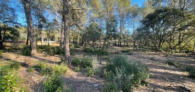 Terrain à Trans-en-Provence en Var (83) de 920 m² à vendre au prix de 189000€ - 1