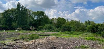 Terrain et maison à Mérignies en Nord (59) de 150 m² à vendre au prix de 545000€ - 4