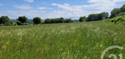 Terrain et maison à Bonrepos en Hautes-Pyrénées (65) de 103 m² à vendre au prix de 238000€ - 4