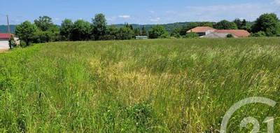 Terrain à Bonrepos en Hautes-Pyrénées (65) de 2326 m² à vendre au prix de 25000€ - 4