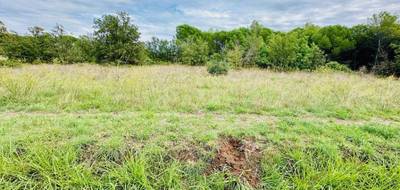 Terrain et maison à Puget-sur-Argens en Var (83) de 82 m² à vendre au prix de 405000€ - 3